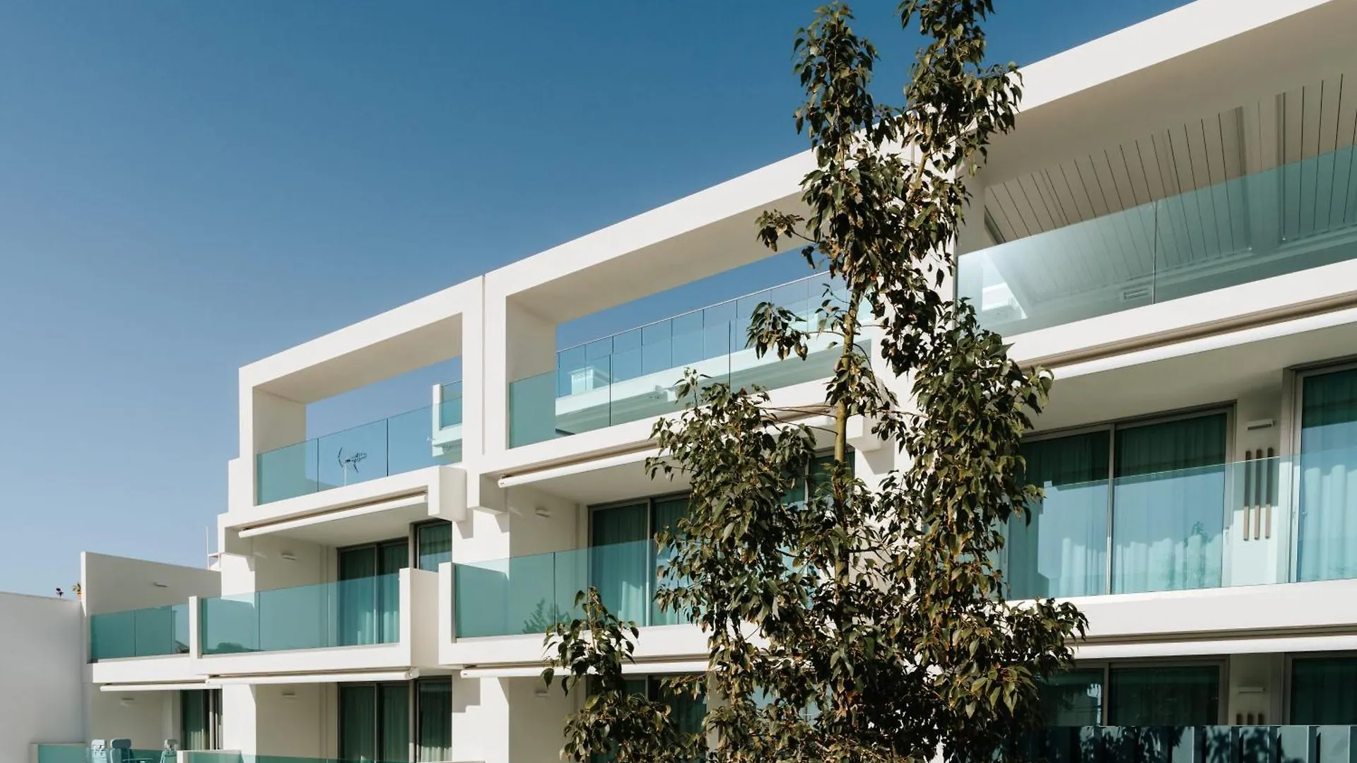 Apartment Caleta Suites Tenerife Costa Adeje